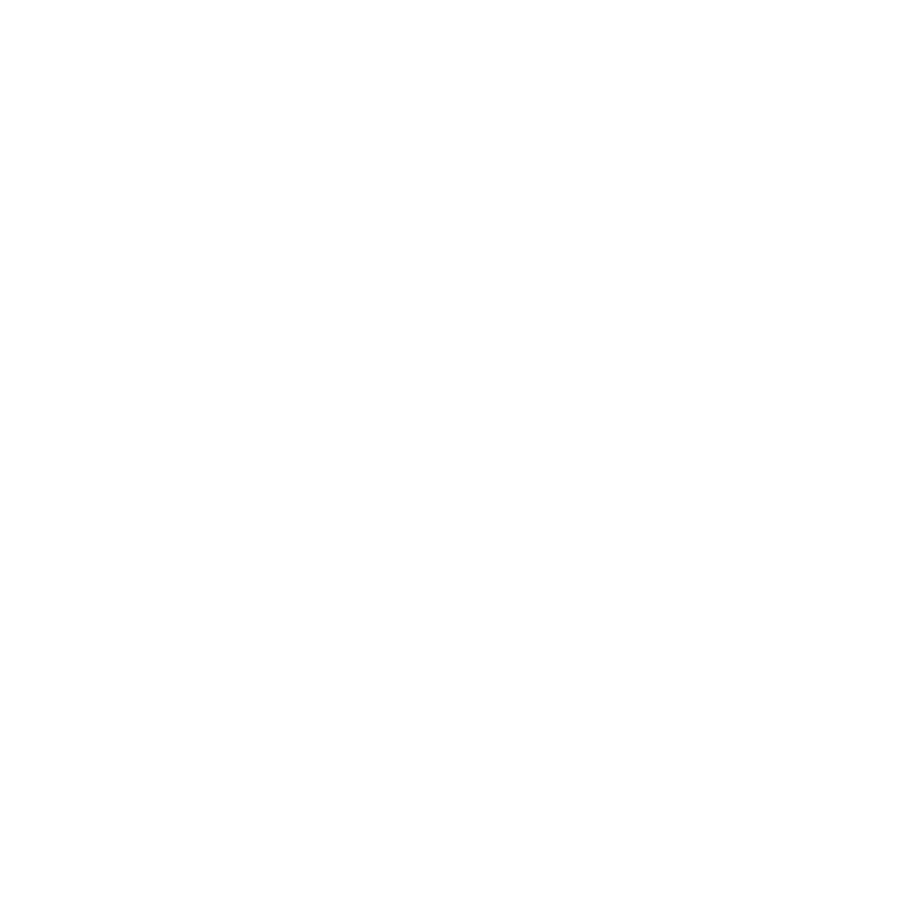 Budget Icon